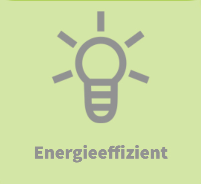 Icon mit einer leuchtenden Glühbirne und dem Text Energieeffizient.